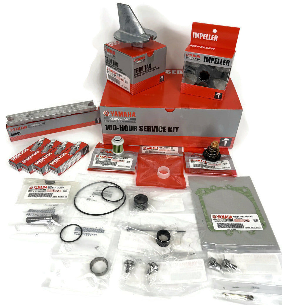 6EK-W006A-00-00 YAMAHA (F115) 100HR SERVICE KIT