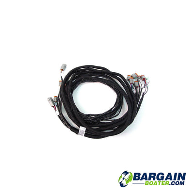 Evinrude Wire Harness - Ignition/TNT Multi Engine for ICON and I-Command Gauge Systems
