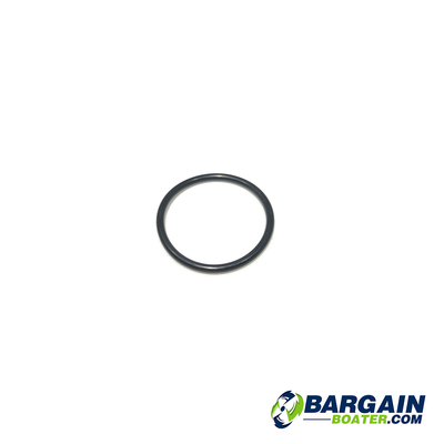 This is a generic photo of the Evinrude/Johnson Thermostat Gasket/O-rings covered by part numbers 329076, 332108, 329830, 332369, 394408, 321184, 331188, 301917.